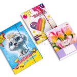 Шкільний набір канцтоварів «Стандарт Люкс» З 1-4 клас (Хлопчик/Дівчинка)